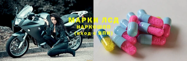 гидра Алексин